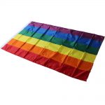 10 Pieces Rainbow Flag Polyester Gay Pride Flag with Brass Grommets Banner Hanging LGBT Flag For 9a23369e c306 4fe6 abf6 62fc4f85b96a 1 - Asexual Flag™