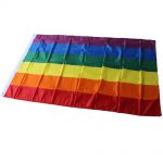 10 Pieces Rainbow Flag Polyester Gay Pride Flag with Brass Grommets Banner Hanging LGBT Flag For ac93ba0d fc56 45be 9ac0 80701efa60be 1 - Asexual Flag™