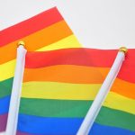 50 pcs Geminbowl Rainbow flag Hand Waving Gay Pride LGBT parade Les Bunting 14x21cm Geminbowl Brand 8546145a a46c 4caa 9f8f 8ac6066012b3 - Asexual Flag™