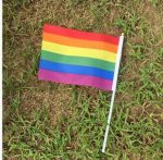 50 pcs Geminbowl Rainbow flag Hand Waving Gay Pride LGBT parade Les Bunting 14x21cm Geminbowl Brand 8780550e 095f 45be 8f62 b0eb52765d27 - Asexual Flag™