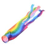 New Outdoor Wind Sock Flags Vivid Colorful Rainbow Wind Sock Sleeve Cone Test 70cm Festivals Caravan ad2bbbca 46d9 4b30 a671 458fc3410171 - Asexual Flag™