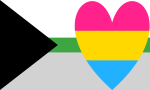 Pansexual Demiromantic Pride Flag PN0112 2x3 ft (60x90 cm) / Demi BG L Official PAN FLAG Merch