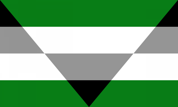 3x5 ft (90x150 cm) / Green Official PAN FLAG Merch