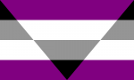3x5 ft (90x150 cm) / Purple Official PAN FLAG Merch