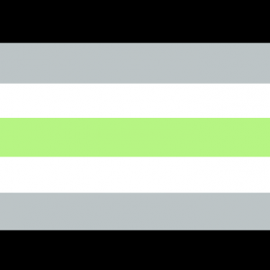 2x3 ft (60x90cm) / 4 Grommets Official PAN FLAG Merch