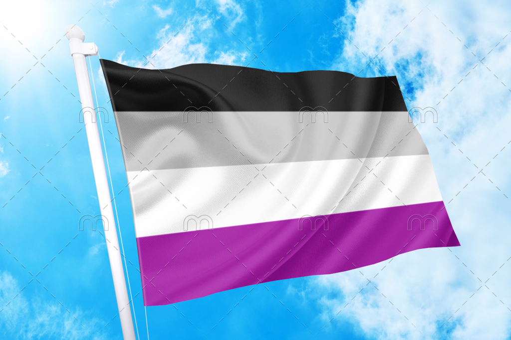 Asexual Pride Flag Official Store Pn2001 Asexual Flag™ 9925