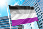 Asexual Pride Flag PN0112 2x3 ft (60 x 90 cm) / 2 grommets left side Official PAN FLAG Merch