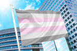 Demigirl Pride Flag PN0112 2x3 ft (60x90 cm) / 2 Grommets left Official PAN FLAG Merch