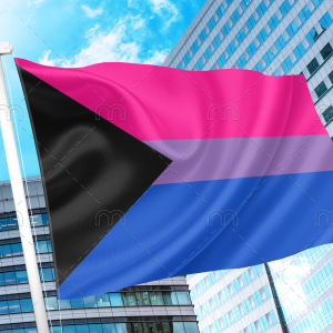 DemiBisexual Pride Flag PN0112 2x3 ft(60x90 cm) / Demibisexual / 2 Grommets left Official PAN FLAG Merch