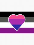 artwork Offical Asexual Flag Merch
