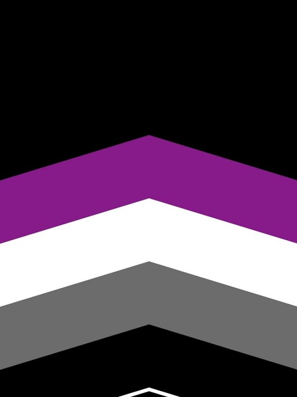 artwork Offical Asexual Flag Merch