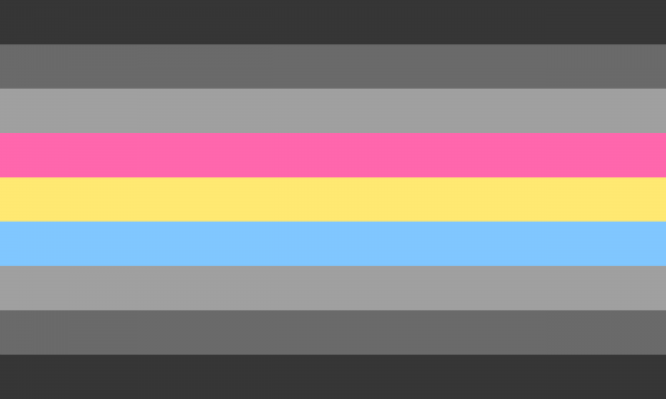 Gray Pansexual Pride Flag PN0112 2x3 ft (60x90 cm) Official PAN FLAG Merch