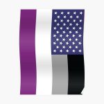 Asexual American Flag Poster RB1901 product Offical Asexual Flag Merch