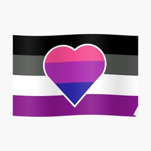 Biromantic Asexual Flag Poster RB1901 product Offical Asexual Flag Merch