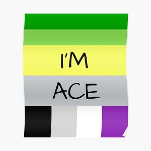 AROMANTIC FLAG ASEXUAL FLAG I'M ACE ASEXUAL T-SHIRT Poster RB1901 product Offical Asexual Flag Merch