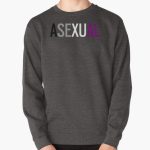 Asexual - Horizontal Pullover Sweatshirt RB1901 product Offical Asexual Flag Merch