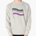 Asexual Pride Flag Pullover Sweatshirt RB1901 product Offical Asexual Flag Merch