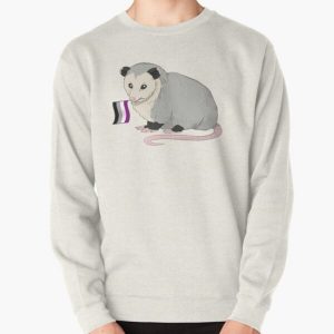 Asexual Pride Flag Opossum Pullover Sweatshirt RB1901 product Offical Asexual Flag Merch