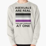Asexuals are Real Pullover Sweatshirt RB1901 product Offical Asexual Flag Merch