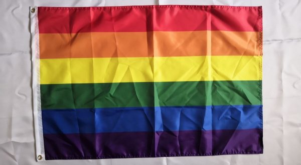 real rainbow - Asexual Flag™
