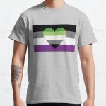 Asexual Aromantic Flag Classic T-Shirt RB1901 product Offical Asexual Flag Merch