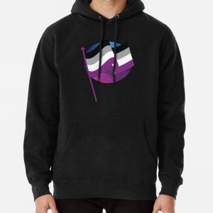 Asexual Flag Pullover Hoodie RB1901 product Offical Asexual Flag Merch